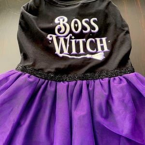 XL “Boss Witch” dog costume